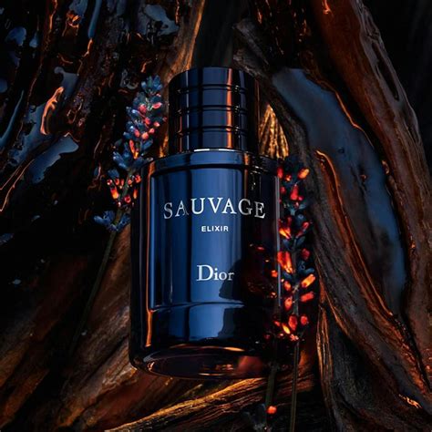 sauvage dior elixir for men|cheapest sauvage elixir 100ml.